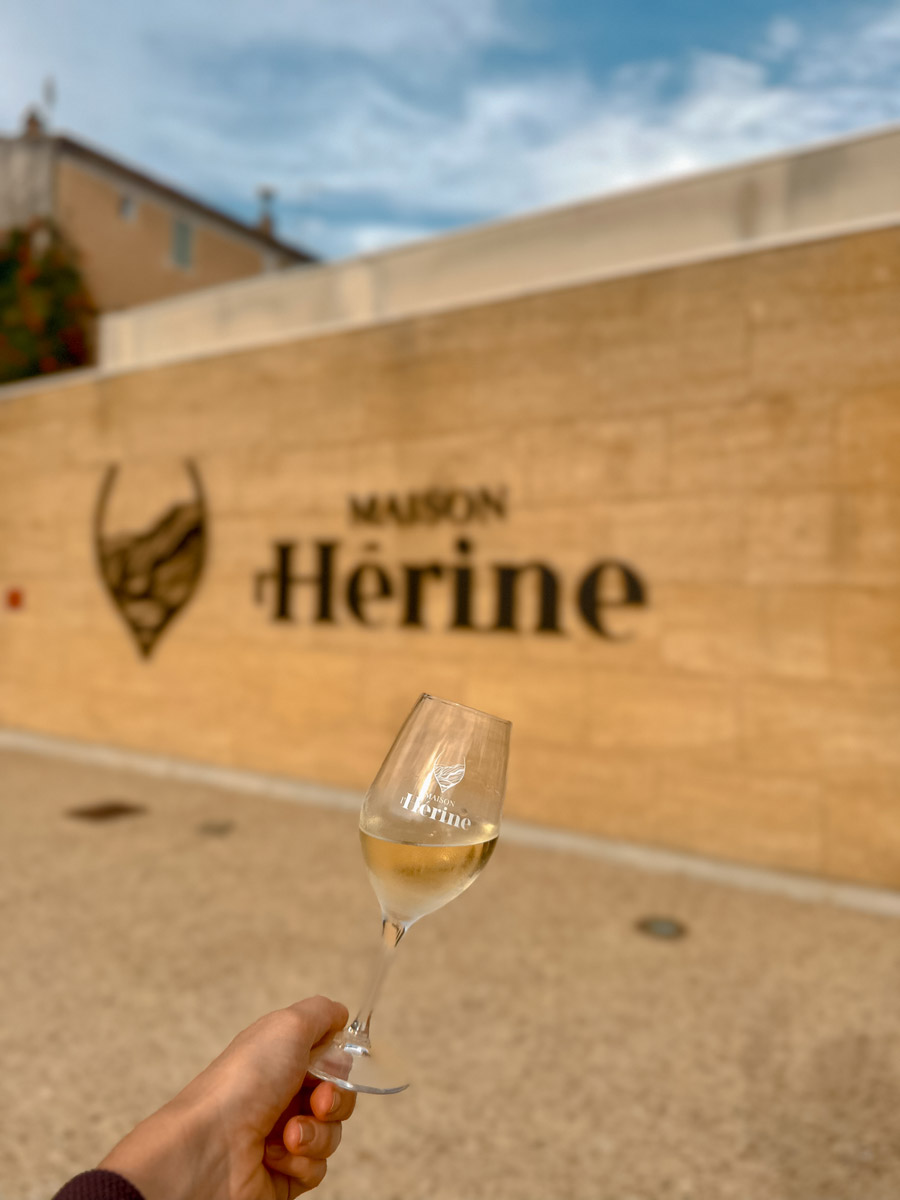 En 2025, nous avons choisi de devenir Maison l’Hérine